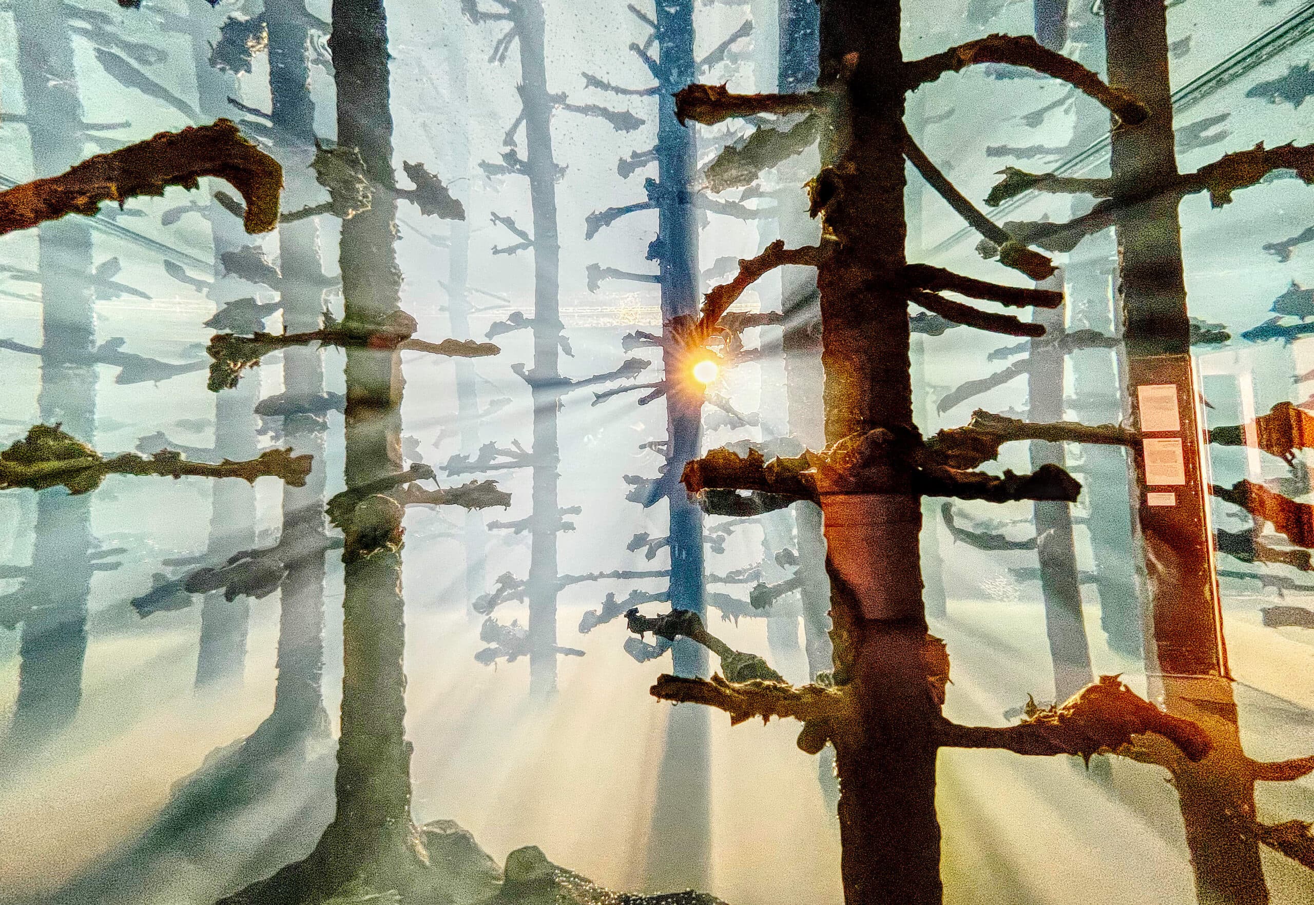 Cover Image for WP-Post 13